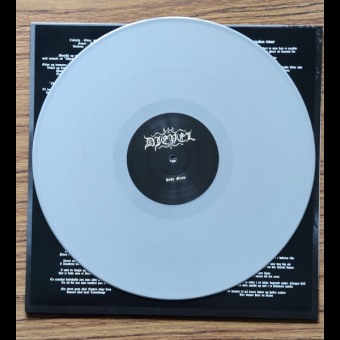 DJEVEL Naa Skrider Natten Sort LP REGULAR SINGLE SLEEVE GREY  [VINYL 12